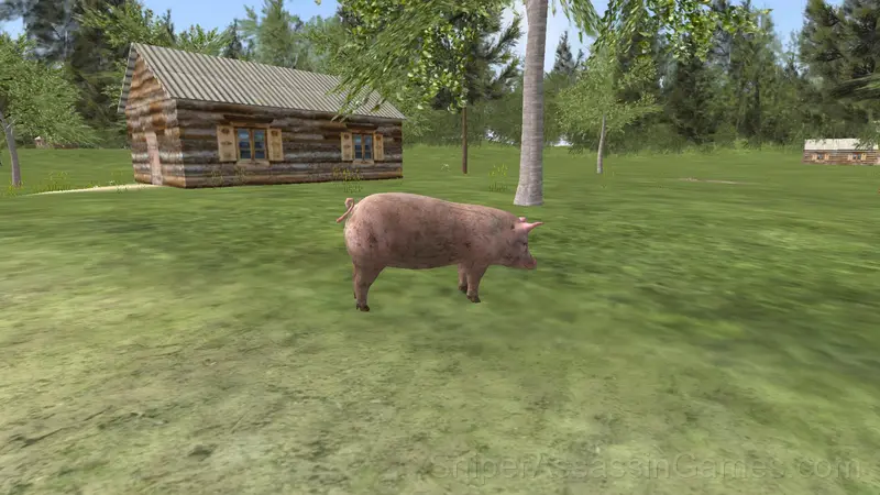Village Pig Simulator gameplay screenshot 2