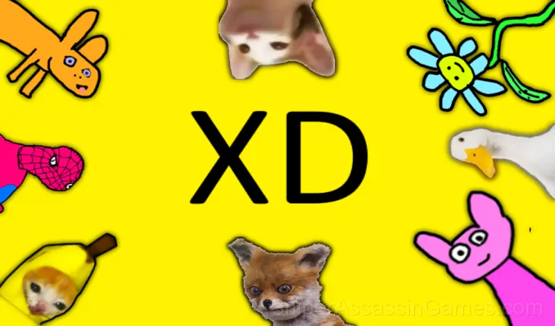 Play XD