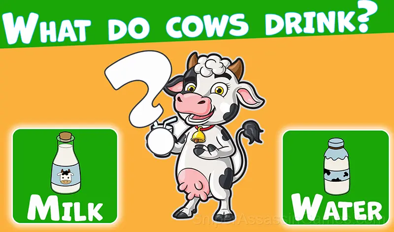 Play Trivia Quiz