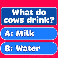 Trivia Quiz
